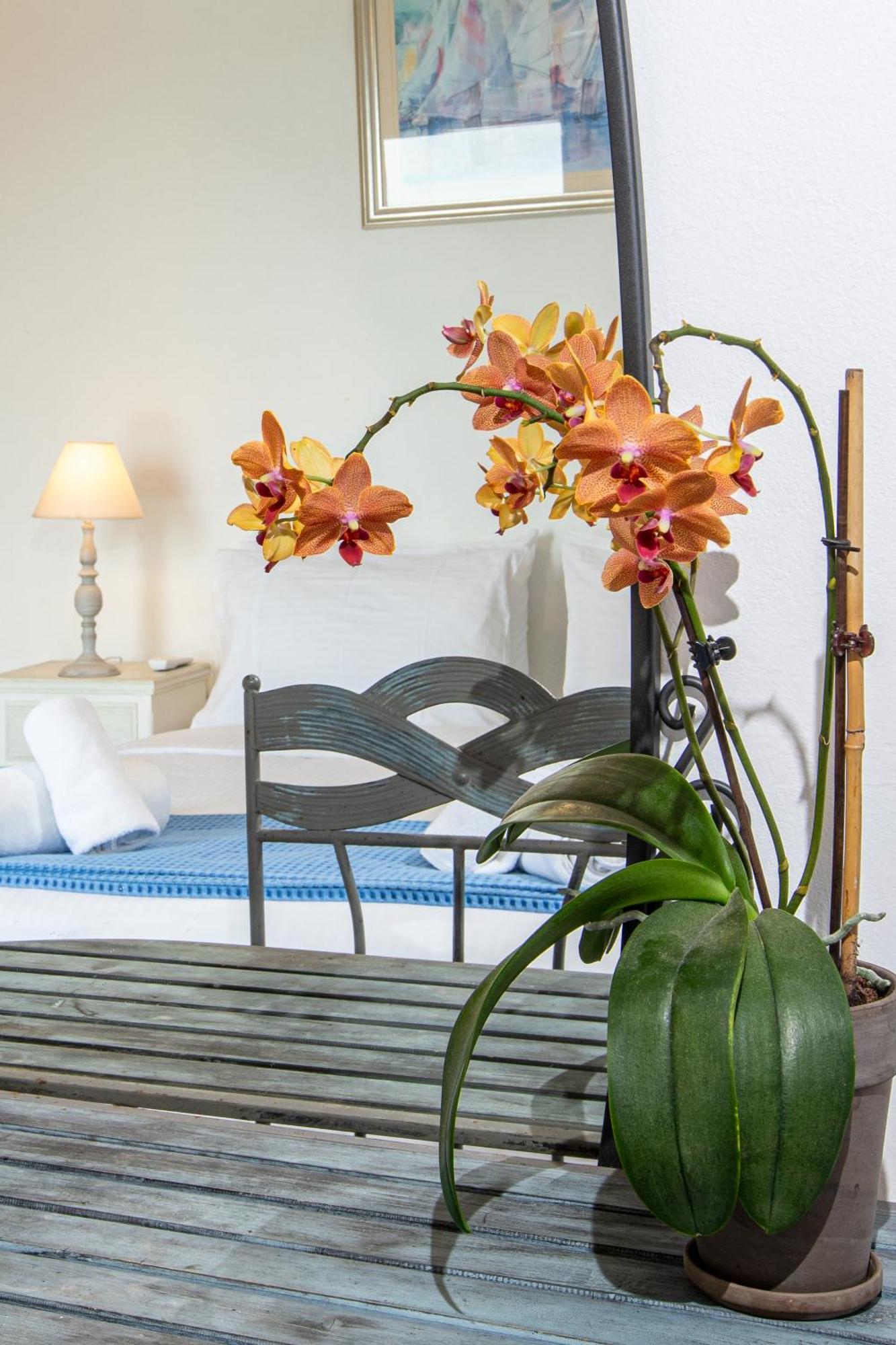 Dimitra Apartment With Private Pool And Sea View -The Ground Floor Of A Two Storey Building Daratsos Exterior photo
